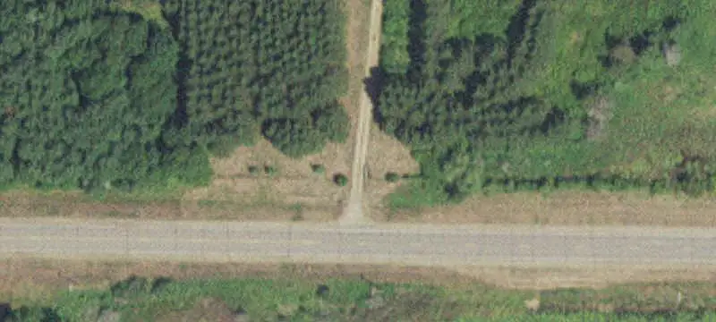 Wooded Hunting Land