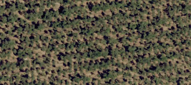 Wooded Commercial Land