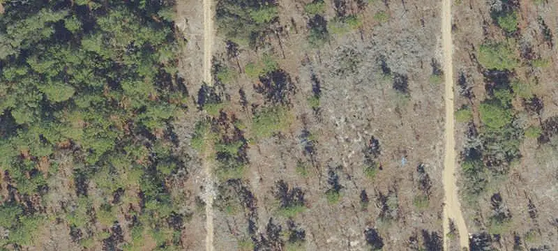 Land/Lot