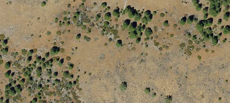 Pine-Tree Recreation Land
