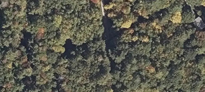 Wooded Rural Land Parcel