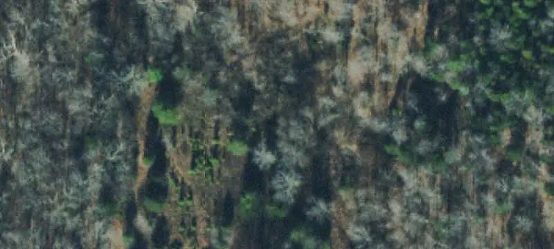 Lots/Land