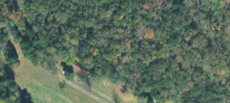 Hunting Land Tract