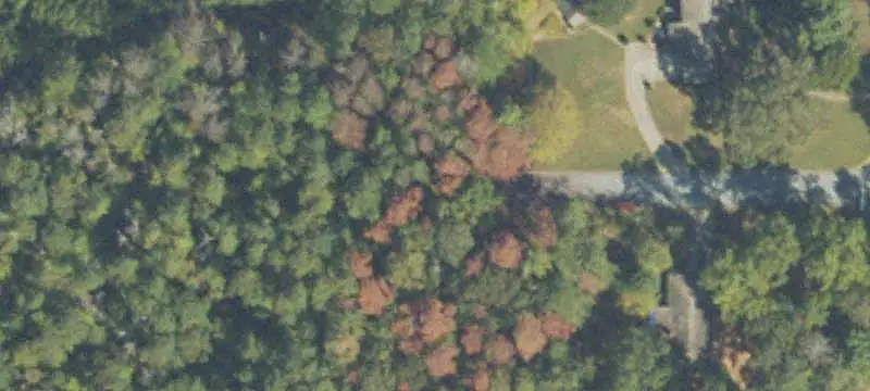Unimproved Land