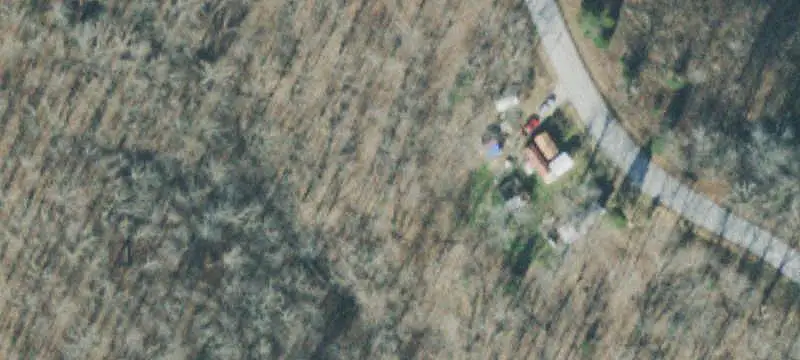 Timber Land Near River