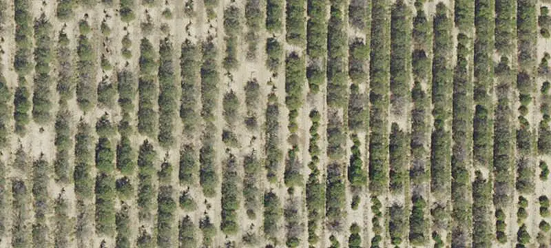 Land