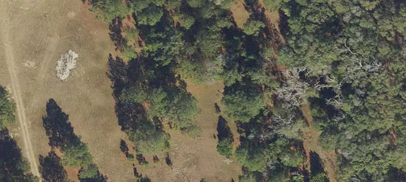 Wooded Recreational Land