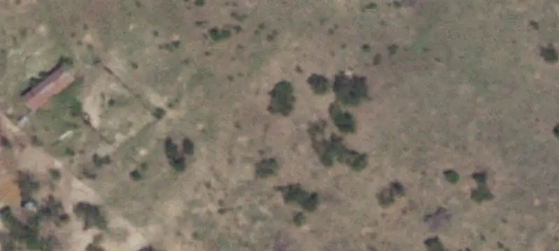 Agricultural Land with Wildlife