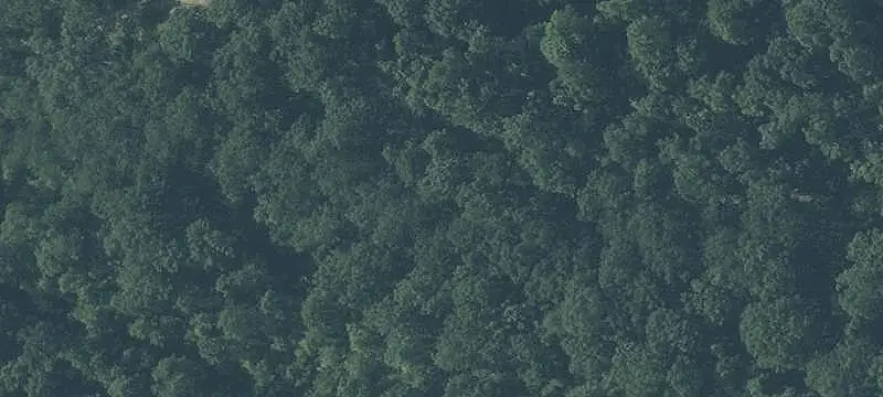 Hunting Land with 3-Bedroom Home