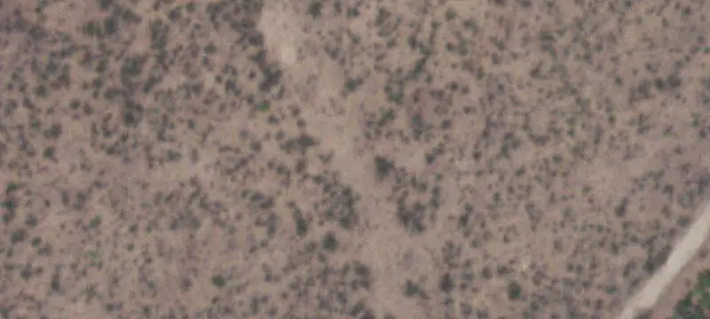 Ranch Property with Two Ponds