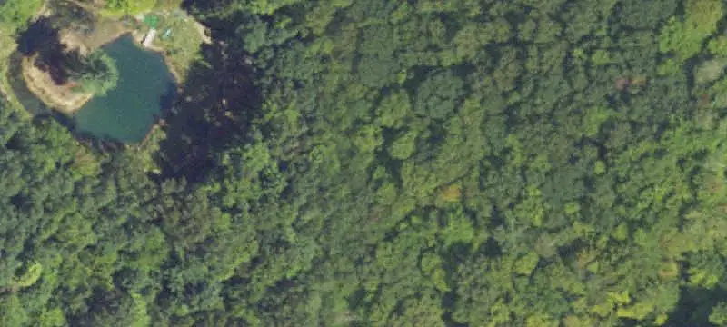 Wooded Hunting Land