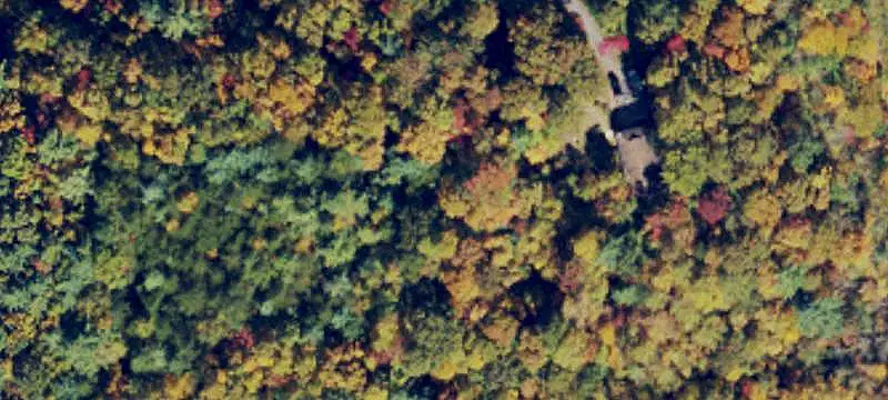 Wooded Hunting Land