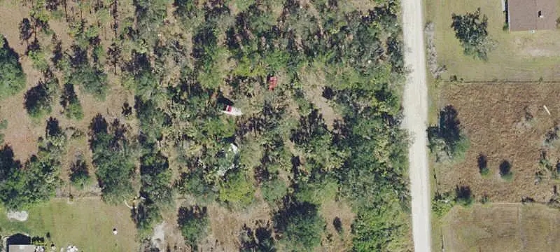 Partially Cleared Agricultural Land