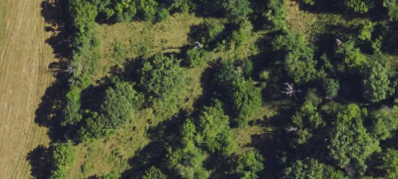 Agricultural Land with Horse Barn