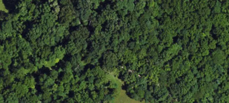 Wooded Hunting Land with Meadow