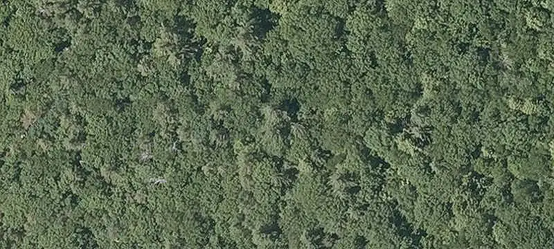 Lot 53 Senter Cove Rd, Center Tuftonboro, NH 03816