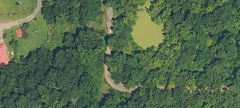 Wooded Hunting Land with Ponds