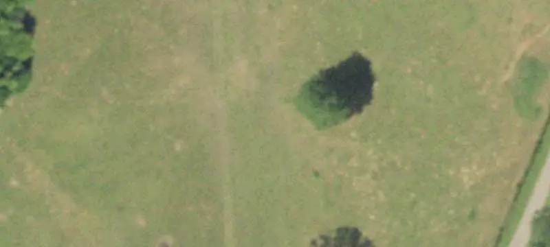 Hunting Land with Creek Frontage
