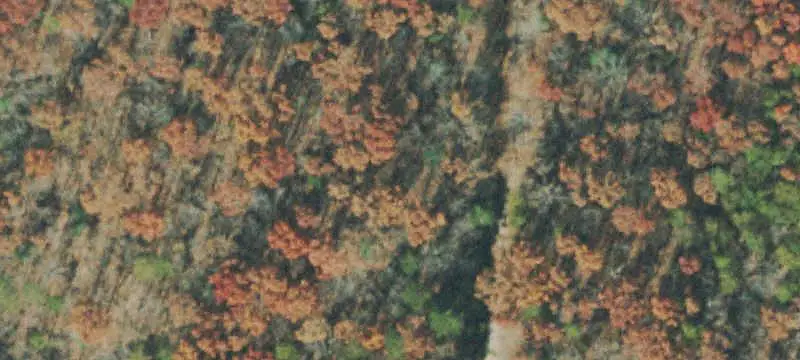 Lots & Acreage