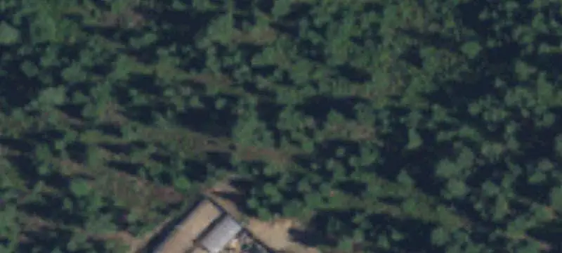 40-Acre Timberland Tract
