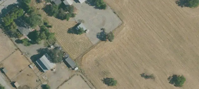 Producing Walnut Orchard