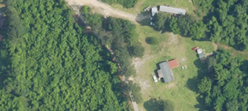 Pine Timber Hunting Land