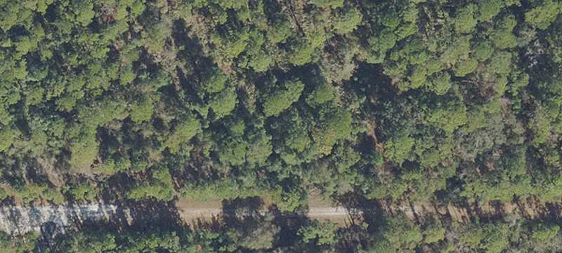 Lots/Land