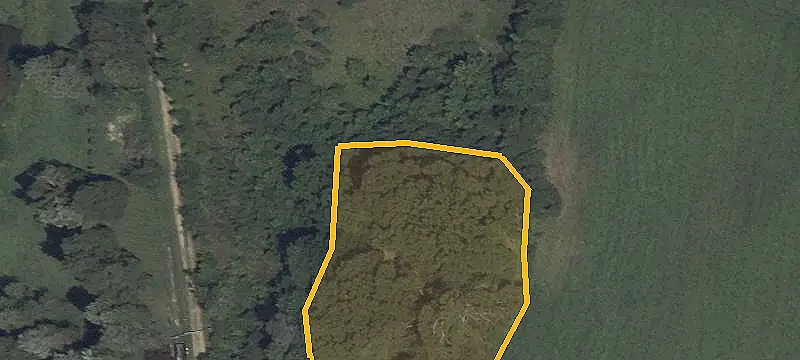 Waterfront Land Along Creek