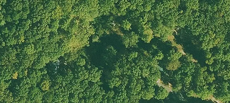 Heavily Wooded Land Tract