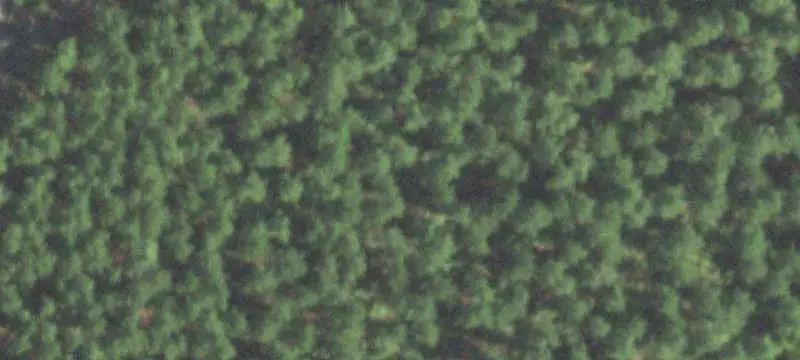 Land Tract