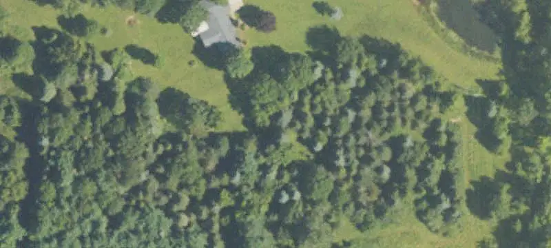 Unimproved Land