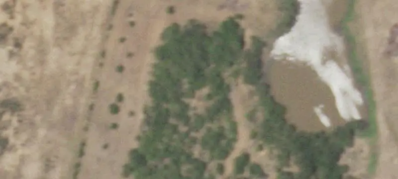 Ranch with Barndominium