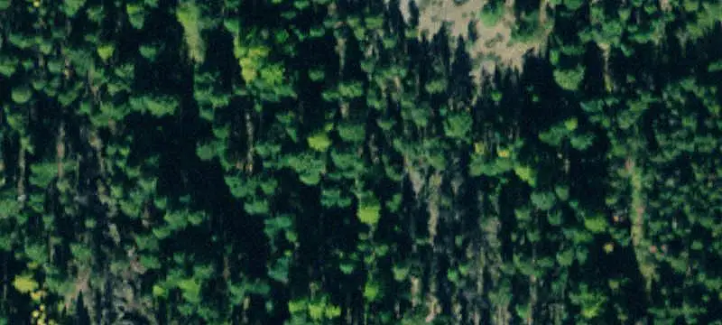 Unimproved Land