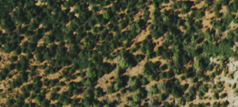 Hunting Land With Furnished Cabin