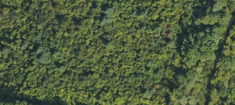 Recreation Land Bordering State Park