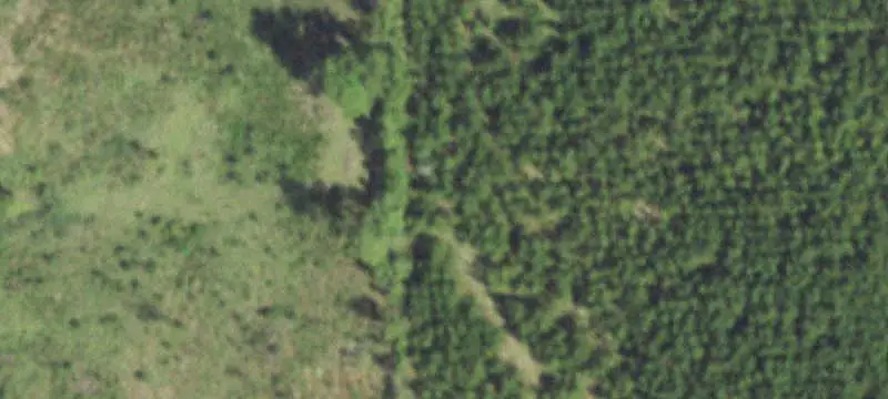 Wooded Land Parcel