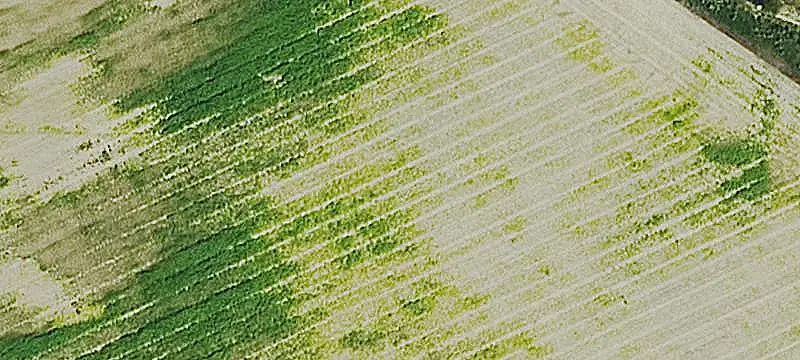 Agricultural Land