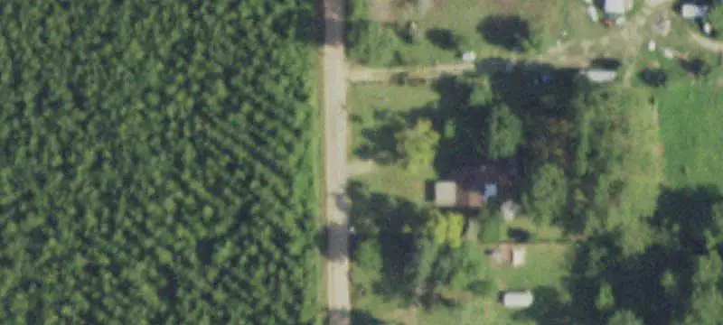 Managed Forest Land