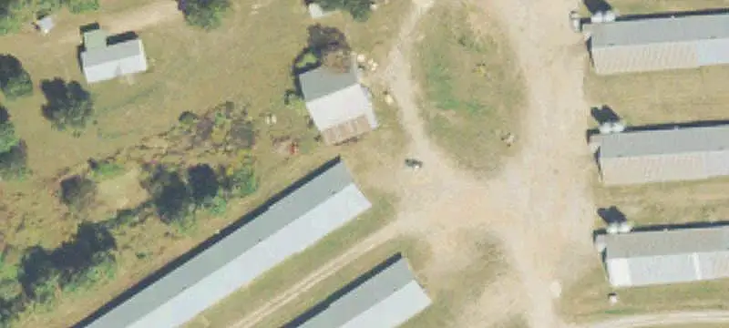 11-House Broiler Farm