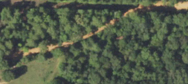 Wooded Hunting Land