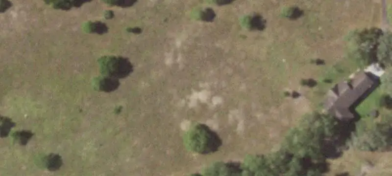 Wooded Agricultural Land