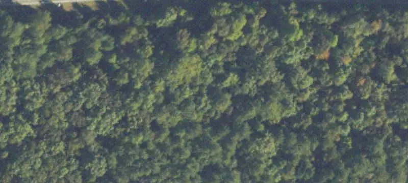Land/Lot