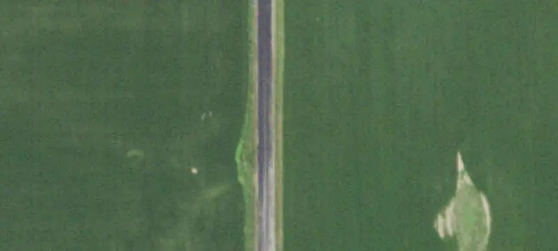 Agricultural Farmland with Timber