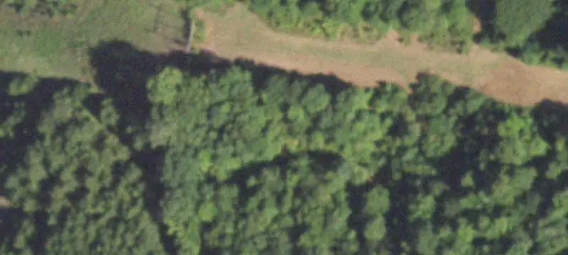 Wooded Hunting Land Tract