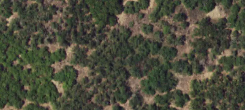Fenced Agricultural Land Tract