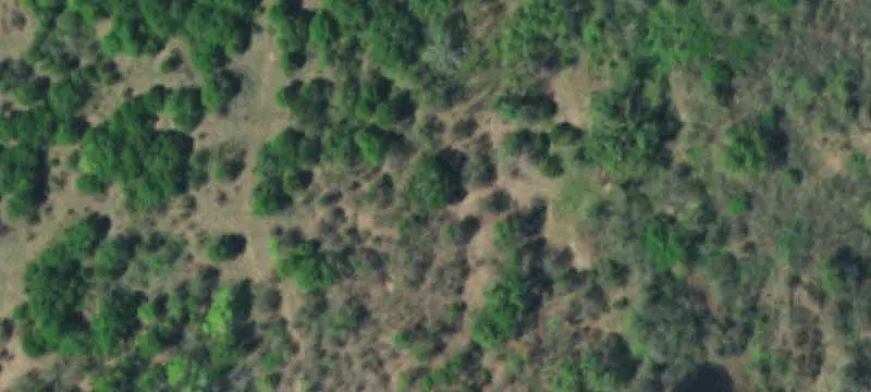 Vacant Land