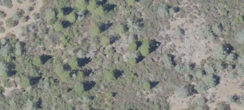 Lots/Land