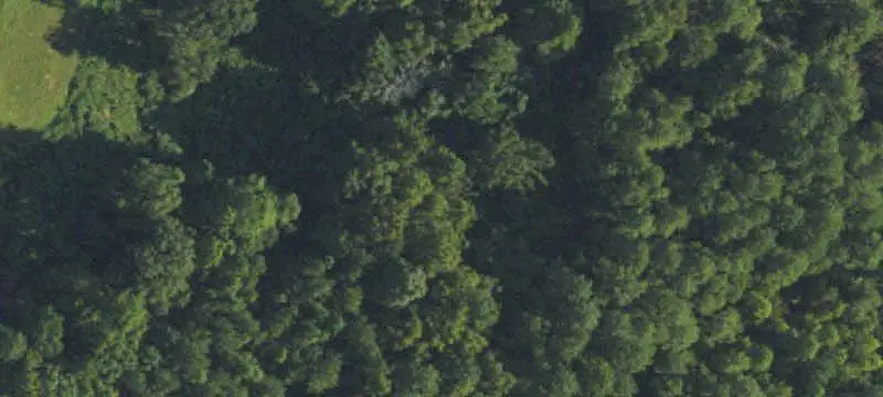 Two-Lot Commercial Land