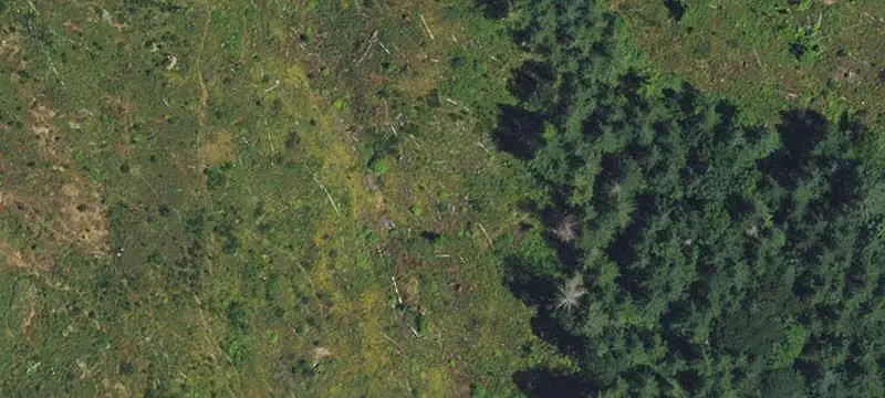 Agricultural Land with Timber