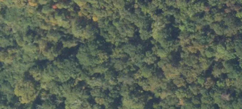 Wooded Specialty Property